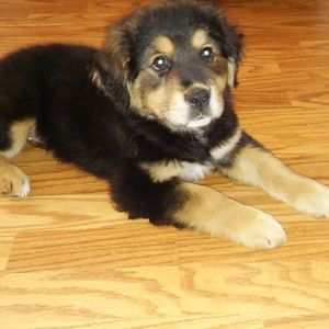 Meet your Posher, Mikka ben